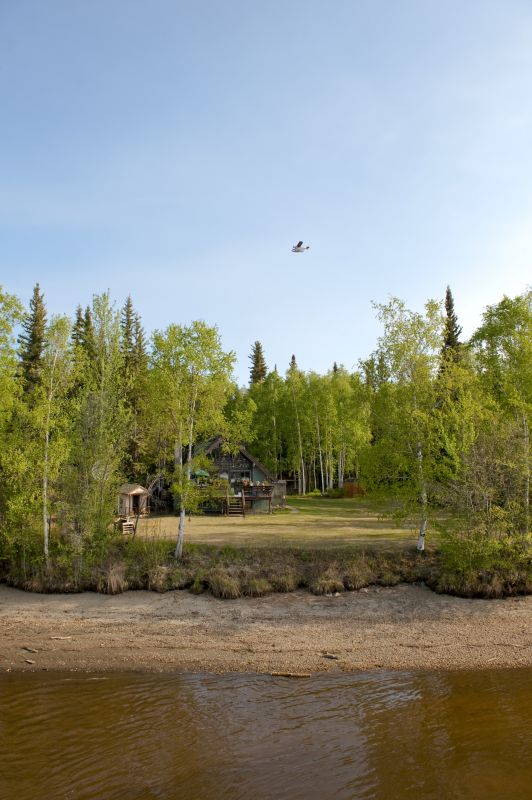 property clearing
