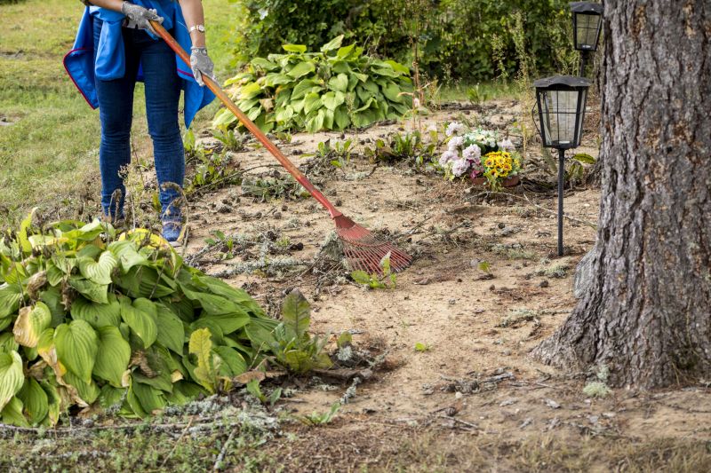 Vegetation and Debris Disposal